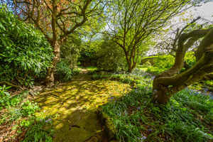REAR GARDEN- click for photo gallery